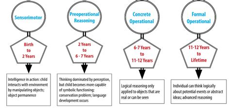 Jean Piaget: Biography, Theory and Cognitive Development - Education ...