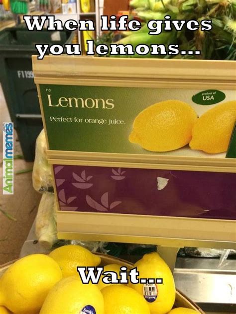 105 Best When Life Gives You Lemons Images On Pinterest Funny Stuff