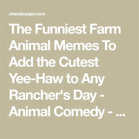 Funniest Farm Animal Memes To Add the Cutest Yee-Haw to Any Rancher's ...