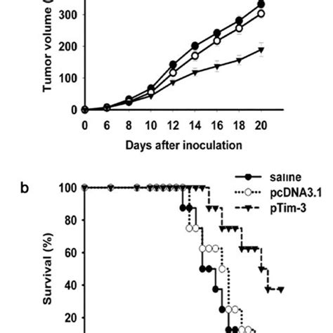 Intratumoral Injection Of Plasmid PTim 3 Inhibit Tumor Growth BALB C