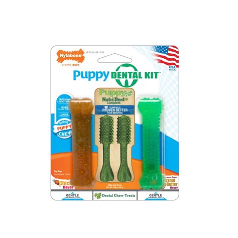 Nylabone Puppy Dental Pack 4 Count Petite