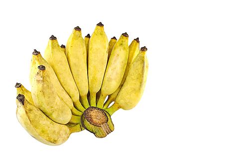 Buah Pisang Background Images Hd Pictures And Wallpaper For Free