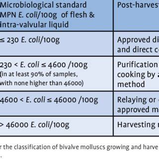 Different Types Of Important Microbiological Hazards Coming From The