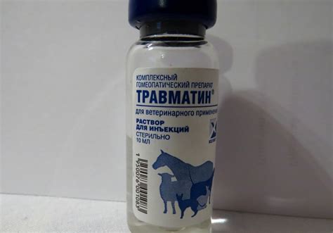 Травматин для кошек: показания и инструкция по применению, отзывы, цена