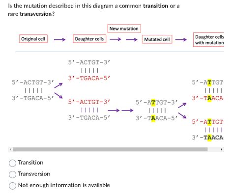 Solved Is the mutation described in this diagram a common | Chegg.com