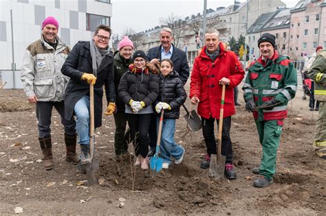 Neues Grün für Donaustadt Ein Wiener Wäldchen in der Erzherzog