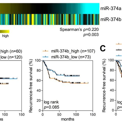 MiR 374a And MiR 374b Are Markers Of Poor Prognosis In LUAD Patients