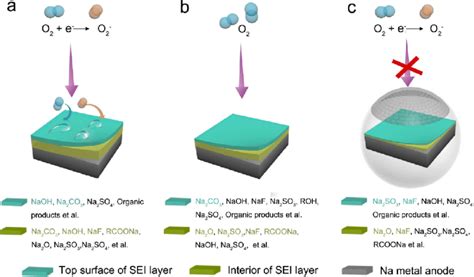 Schematic Illustration Of The Sei Formation On The Na Metal Surface In