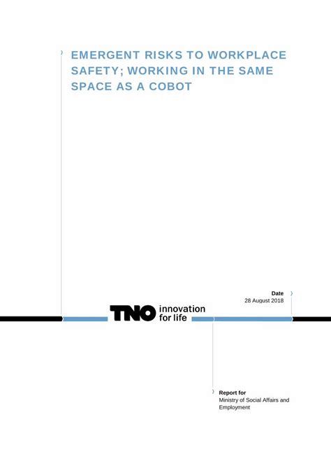 Pdf Emergent Risks To Workplace Safety Working In The Publications