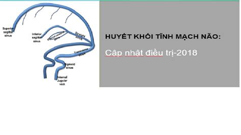 Cách phòng ngừa và điều trị khi bị xoang tĩnh mạch não