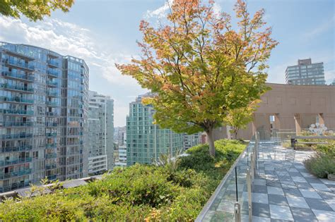 Rooftop Patio Garden At Public Library Amid Modern Highrise Buildings ...