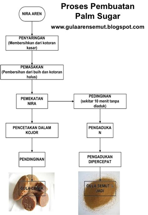 Proses Dan Tahapan Pembuatan Gula Aren Semut And Cetak Gula Aren Semut