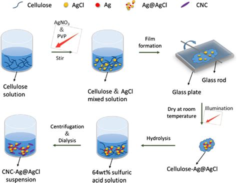 Schematic Diagram Of Cnc Agagcl Composite Preparation Process Download Scientific Diagram