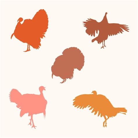 Premium Vector | Thanksgiving turkey silhouette