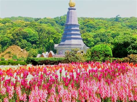 Queen S Pagoda In Doi Inthanon National Park Chiang Mai Thailand