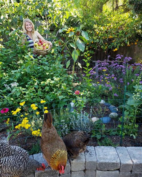 How To Turn Your Yard Or Garden Into A Certified Wildlife Habitat ~ Homestead And Chill