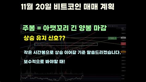 11월 20일 비트코인 주봉마감 고점에 물리기 딱~ 좋은 캔들이네 Youtube