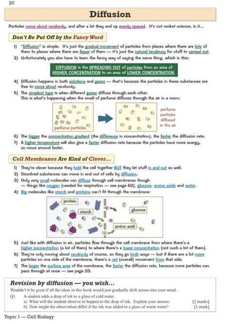 Diffusion Revision Biology Notes Biology Facts Learn Biology