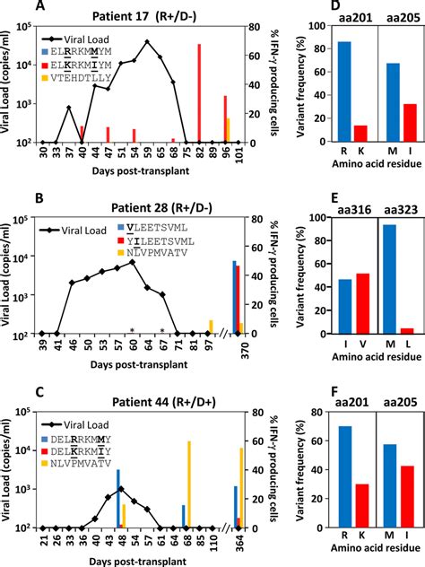 Kinetics Of Variant Specific T Cell Activation Following Viral