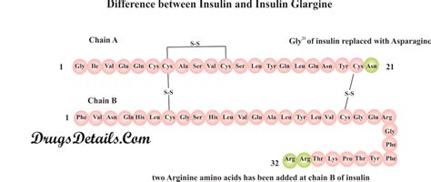 Insulin Glargine – Drug Details