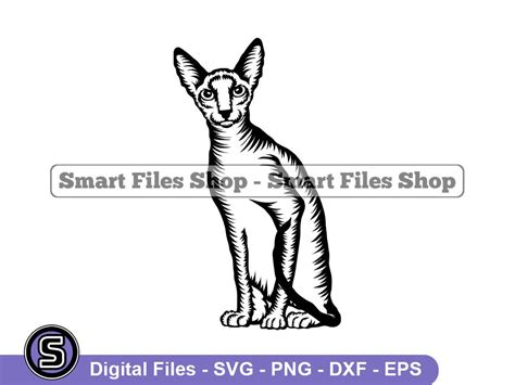 Cornish Rex Cat 2 Svg Cornish Rex Cat Svg Cat Svg Pet Svg Cat Dxf