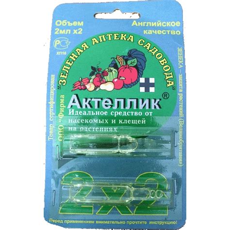 Малинная стеблевая муха и методы борьбы
