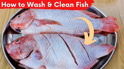 How To Cut And Wash Fish Before Cooking Remove Fishy Smell YouTube