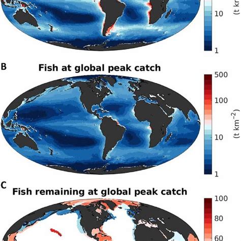 Estimated Biomass Of Fish Targeted By Fisheries Size Range Of G To