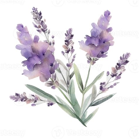 Hermosa Flor Con Hoja Acuarela Ai Generar 23390846 PNG