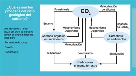 Ciclo Biogeoquímico Del Carbono Ppt