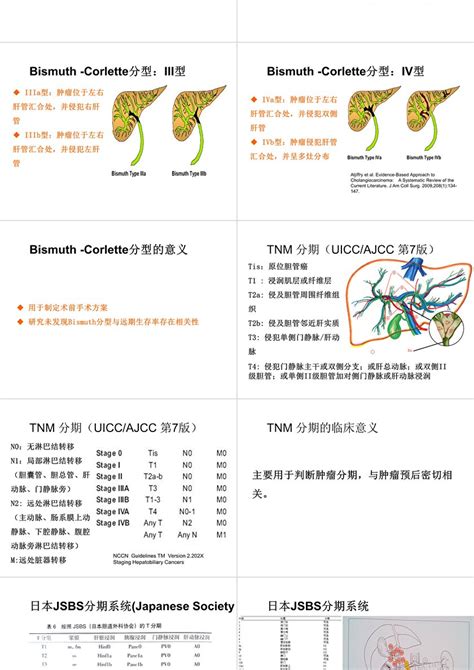 肝门部胆管癌的分型与手术策略ppt模板卡卡办公