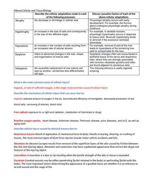 Patho Module Chapter Questions Altered Cellular And Tissue Biology