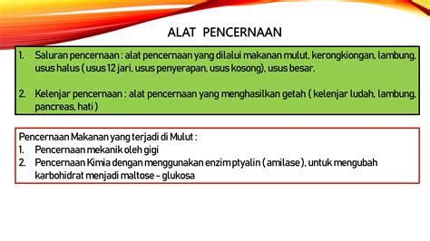 Sistem Pencernaan Makanan Ppt