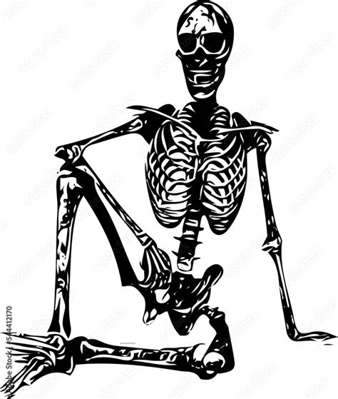 Human Skeleton In Sitting Position Vector Illustration Anatomy