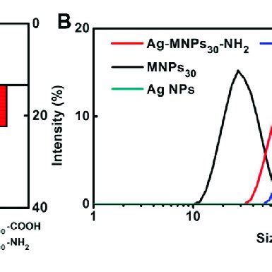 A Zeta Potentials Of Ag NPs MNPs 30 COOH Ag MNPs 30 COOH MNPs