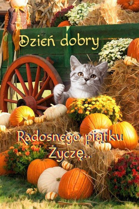 Pin by Maria Rozwandowicz on Dzień dobry Weekend humor Day wishes