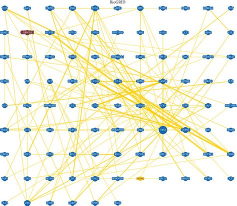 Grwd Related Gene Enrichment Analysis A The Interaction Network Of