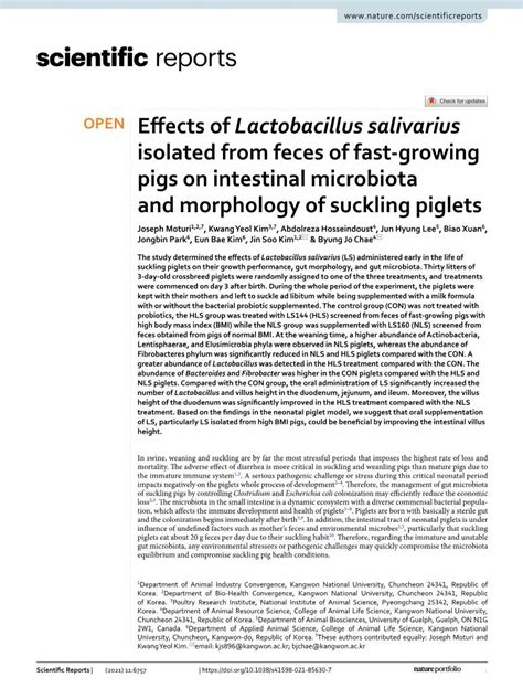 Effects Of Lactobacillus Salivarius Isolated From Feces Of Fast Growing