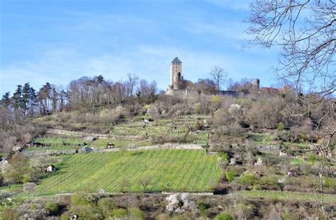 Der Weinbau an der Bergstraße kämpft mit vielen Problemen