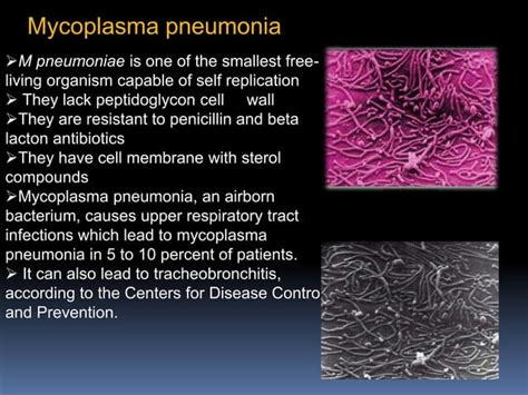 Structure and reproduction of mycoplasma