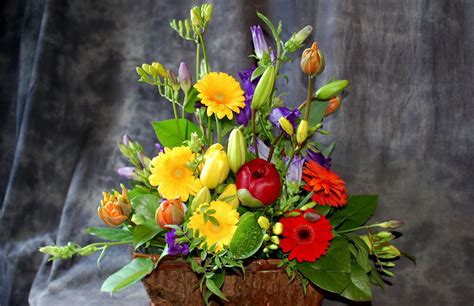 Red Yellow And Purple Flower Arrangement In Brown Pot HD Wallpaper