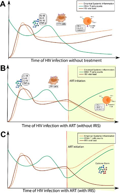 Influence Of Antiretroviral Therapy Art On Systemic Inflammation A