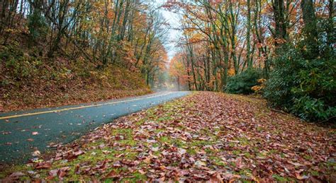 Mejor época Para Visitar Asheville Carolina Del Norte En 2023