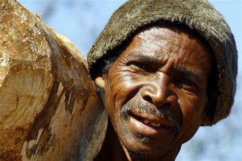 Hard Working Man Carrying A Tree Trunk Madagascar Stock Photo Image