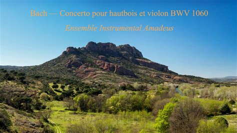 Bach — Concerto Pour Hautbois Et Violon Bwv 1060 Youtube