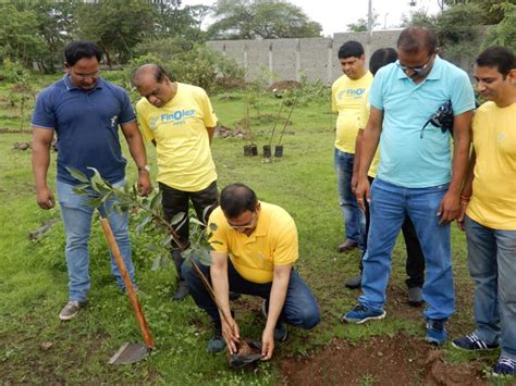 Tree Plantation Drive NGOs For Tree Plantation In India MMF