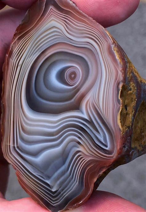 Best Lake Superior Agate Images On Pholder Rockhounds Mineral