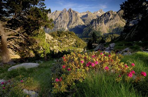 Parque Nacional De Aig Estortes I Estany De Sant Maurici Visit Pirineus