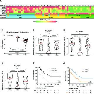 CLL Patient Classification Into Three Methylation Subgroups N CLL