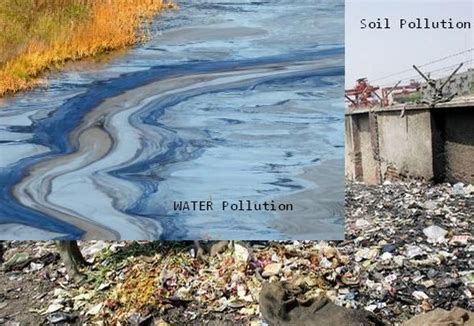 Air, Water and Soil Pollution | Impact of Environmental Pollution